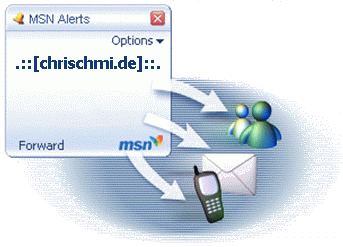 MSN Alerts Funktionsweise